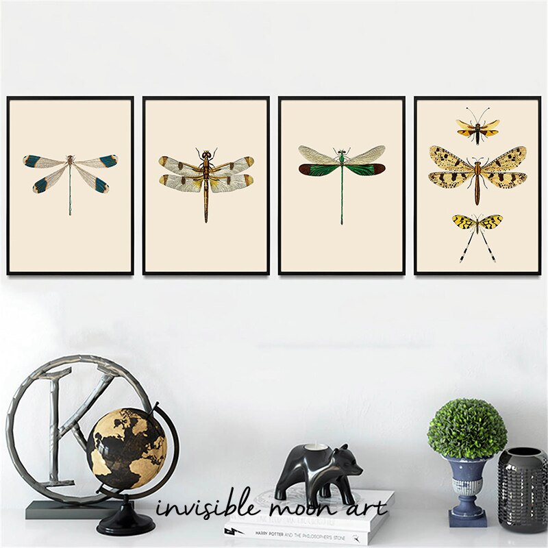 Vintage Dragonfly Natural Hist - Photography History ulasan dan harga