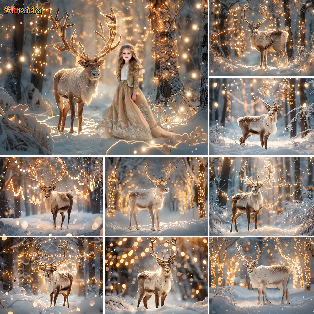 Winter Snow Scenes Photography - Photography Natural Lighting ulasan dan harga