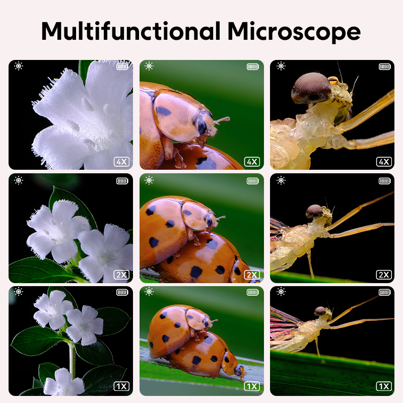 Mini Kids Optical Microscope W - Photography History ulasan dan harga